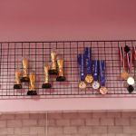 American Wushu Academy