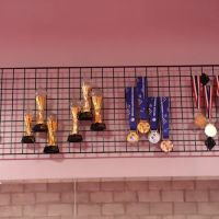 American Wushu Academy ico