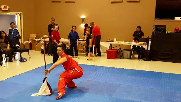 American Wushu Academy Picture 6