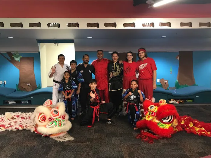 American Wushu Academy Picture 3