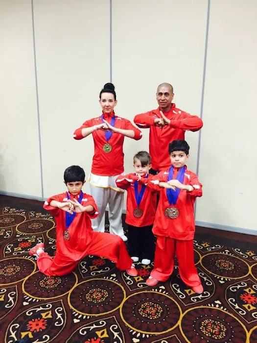 American Wushu Academy Picture 4