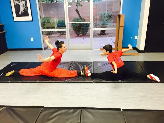 American Wushu Academy Picture 7
