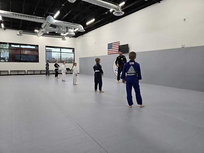 Patriot Martial Arts Academy Gilbert Picture 3