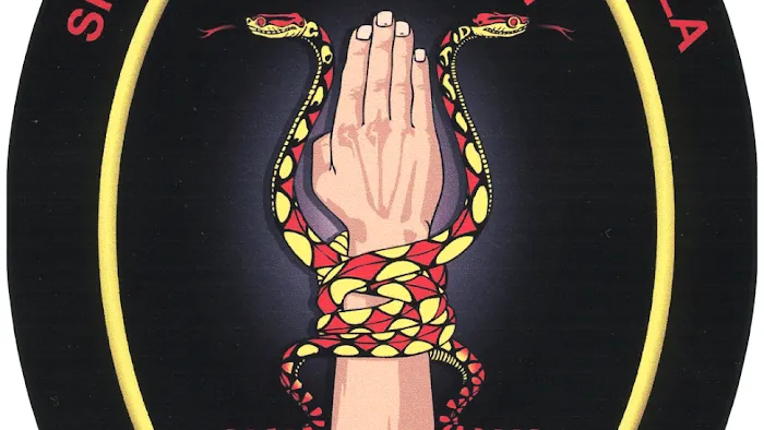 Shaolin Tongsau Picture 10