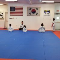 White Tiger Taewkondo Academy ico