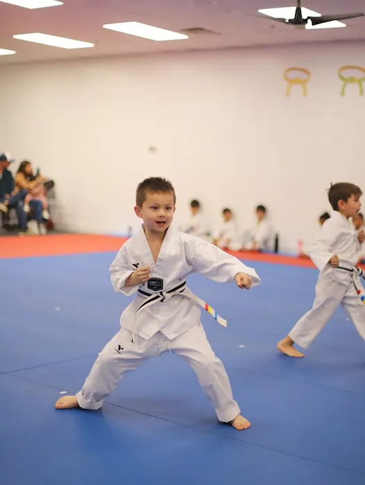 White Tiger Taewkondo Academy Picture 6