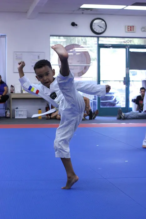 White Tiger Taewkondo Academy Picture 7