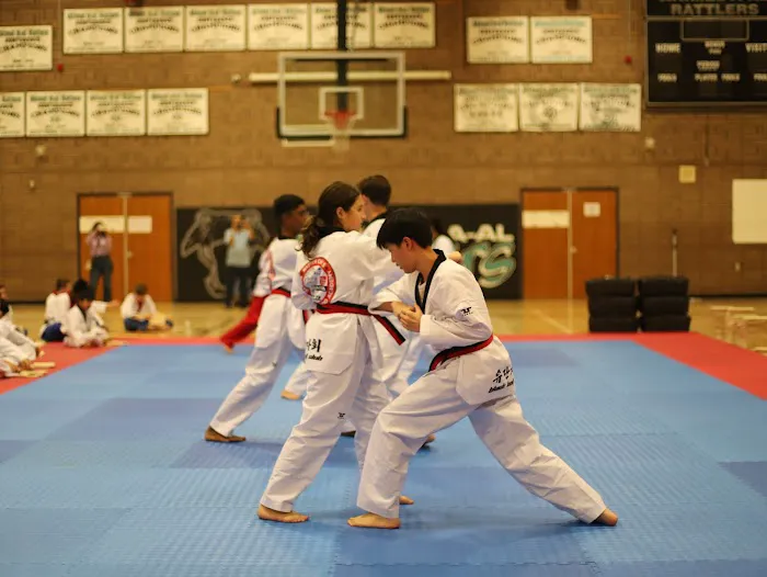 White Tiger Taewkondo Academy Picture 2