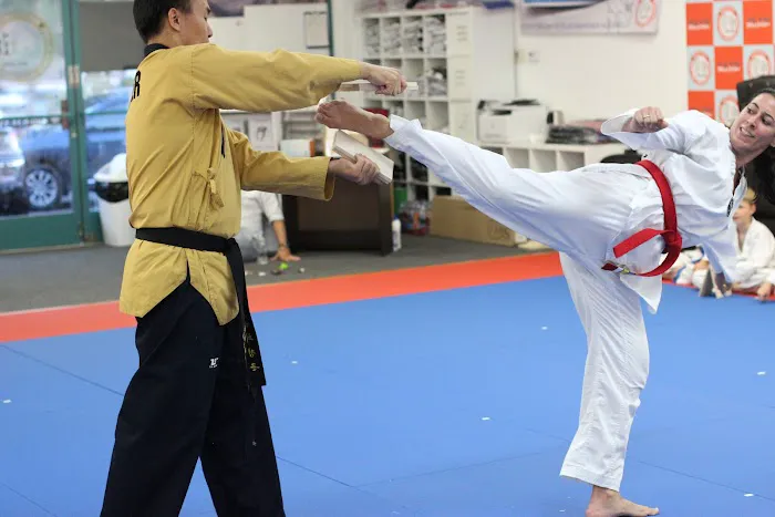 White Tiger Taewkondo Academy Picture 10