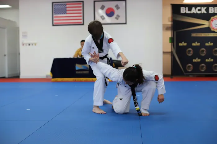 White Tiger Taewkondo Academy Picture 9