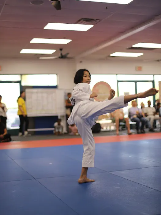 White Tiger Taewkondo Academy Picture 3