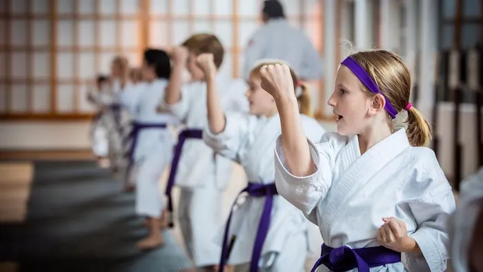 Mountainside Martial Arts Center Picture 3