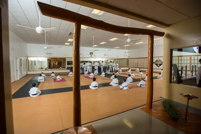 Mountainside Martial Arts Center Picture 2