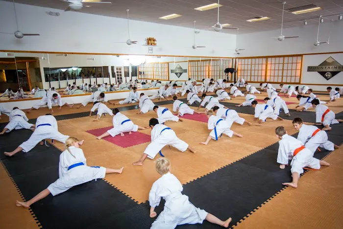 Mountainside Martial Arts Center Picture 10