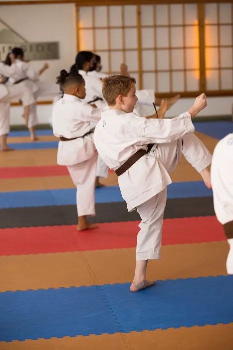 Mountainside Martial Arts Center Picture 8