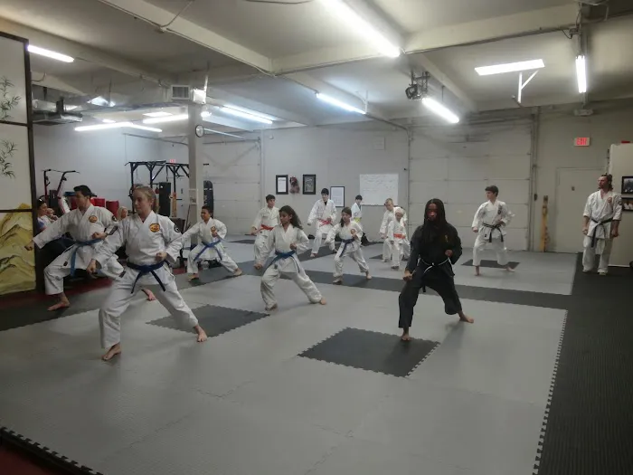 Peaceful Warrior Martial Arts & Healing Center Picture 2