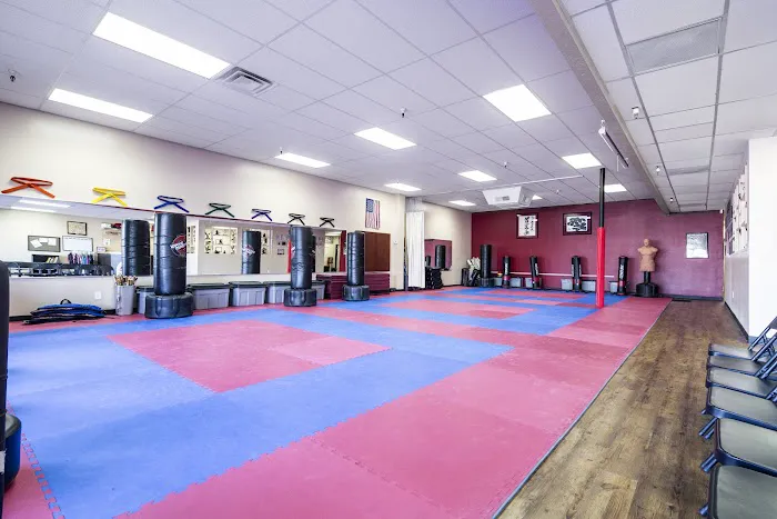 Paradise Valley School Of Karate Picture 2