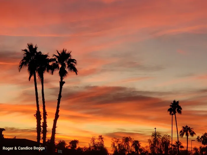 Goshin Karate & Judo Academy Picture 1
