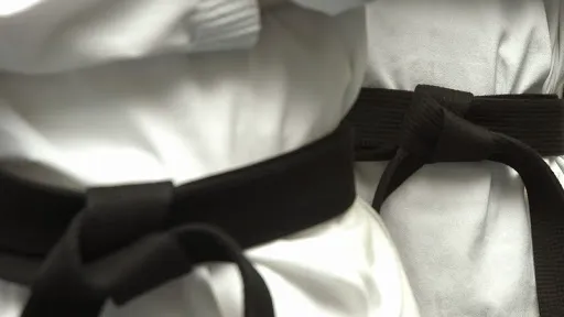 USA Martial Arts Picture 4