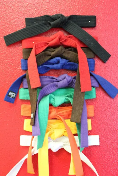 USA Martial Arts Picture 5