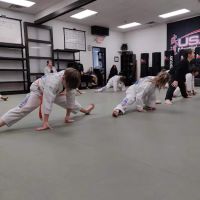 USA Martial Arts ico