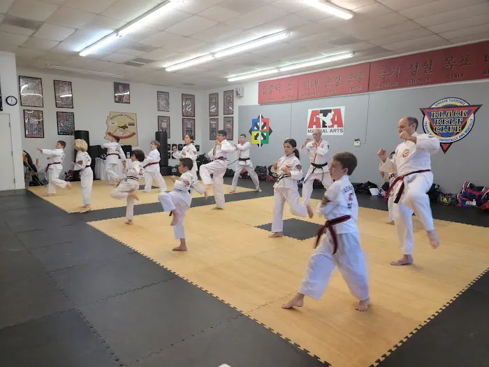 Squaw Peak Taekwondo - ATA Picture 6
