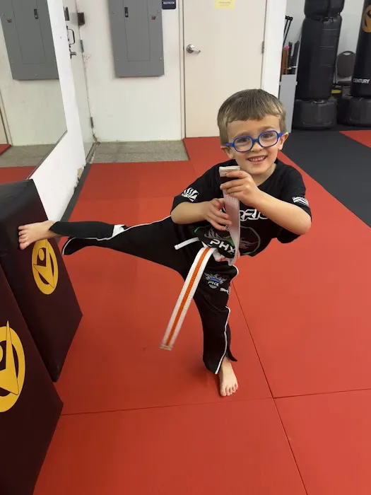 Victory PHX Martial Arts - Central Picture 3