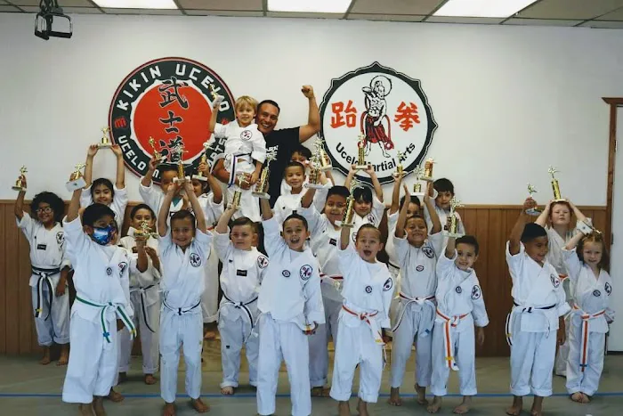 Ucelo Martial Arts Phoenix Picture 3