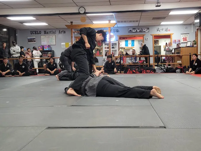 Ucelo Martial Arts Phoenix Picture 4