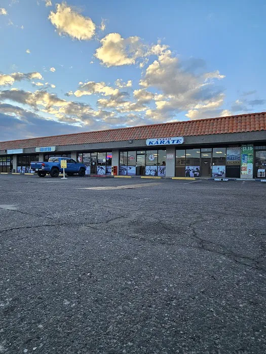 Ucelo Martial Arts Phoenix Picture 9