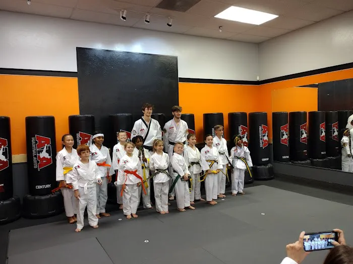 Lee's ATA Martial Arts Picture 4