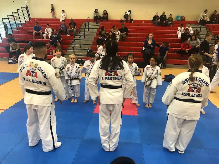 Lee's ATA Martial Arts Picture 8