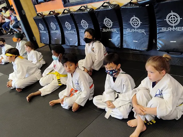 Lee's ATA Martial Arts Picture 9