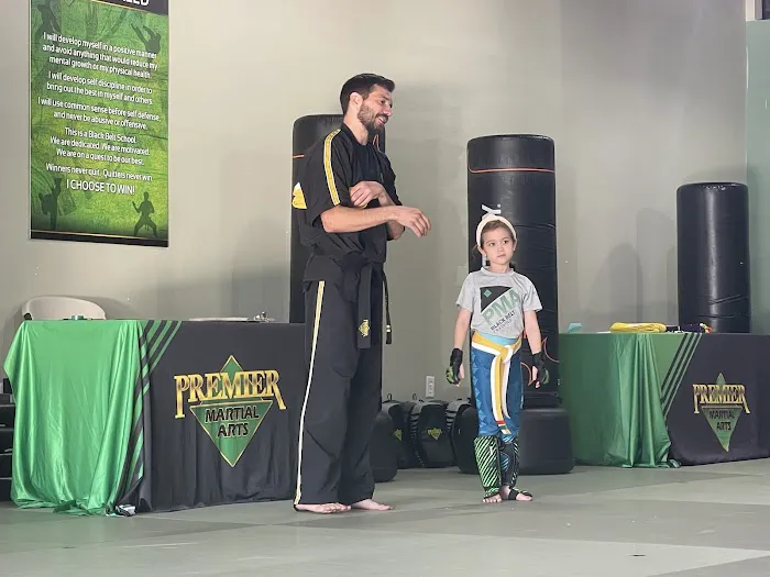 Premier Martial Arts Scottsdale Picture 1