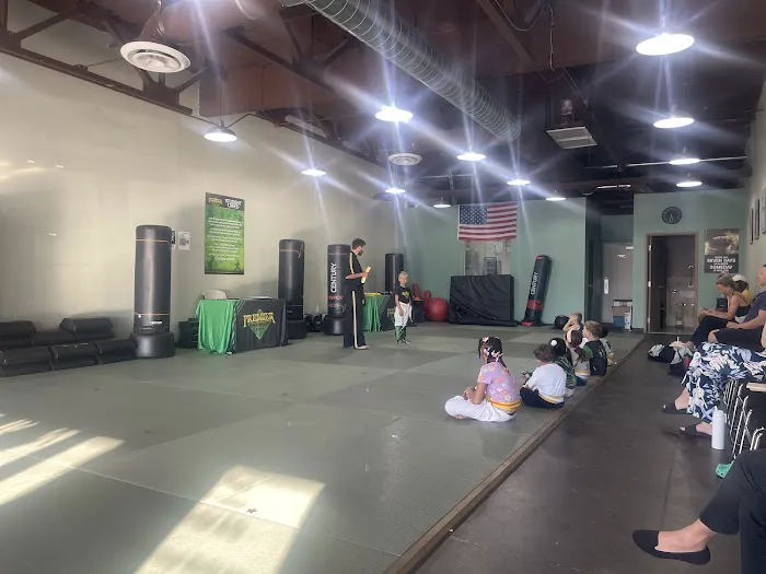 Premier Martial Arts Scottsdale Picture 4