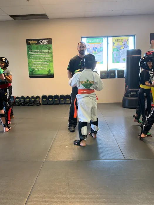 Premier Martial Arts Scottsdale Picture 7