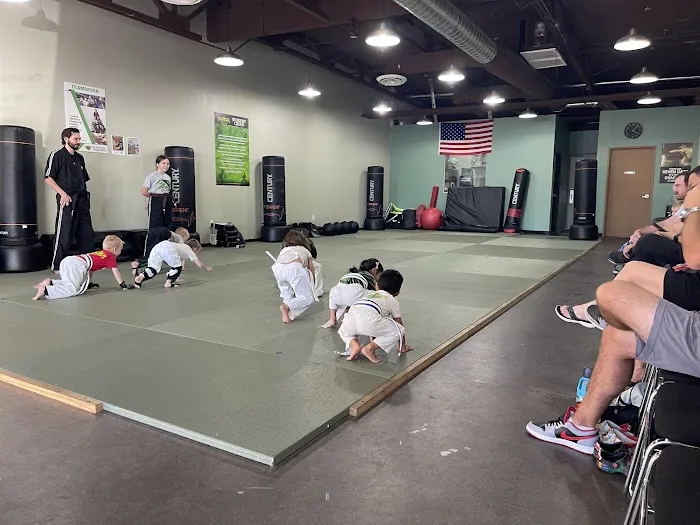 Premier Martial Arts Scottsdale Picture 5
