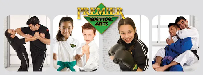 Premier Martial Arts Scottsdale Picture 6