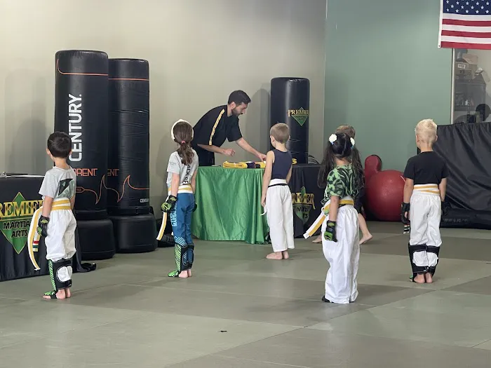Premier Martial Arts Scottsdale Picture 2
