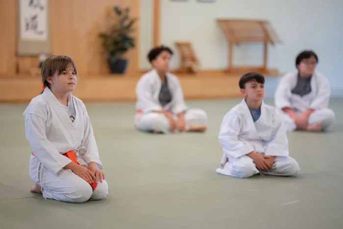 Aikido of Scottsdale Picture 7