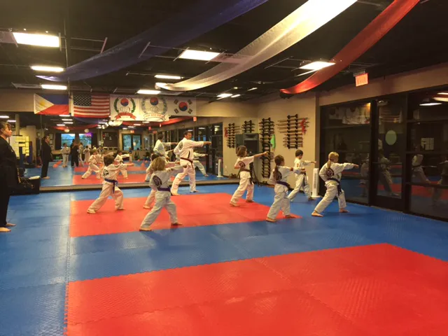 Fountain Hills Martial Arts Picture 1