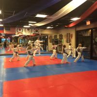 Fountain Hills Martial Arts ico