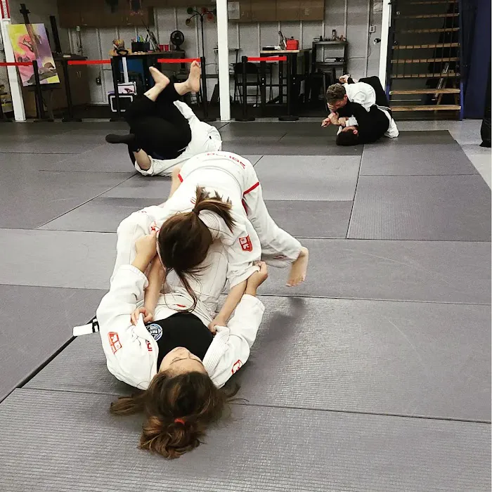 My Style Martial Arts Picture 5