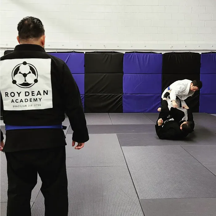 My Style Martial Arts Picture 8