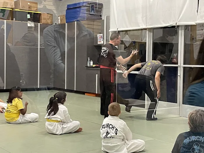 Burch's Karate Picture 2