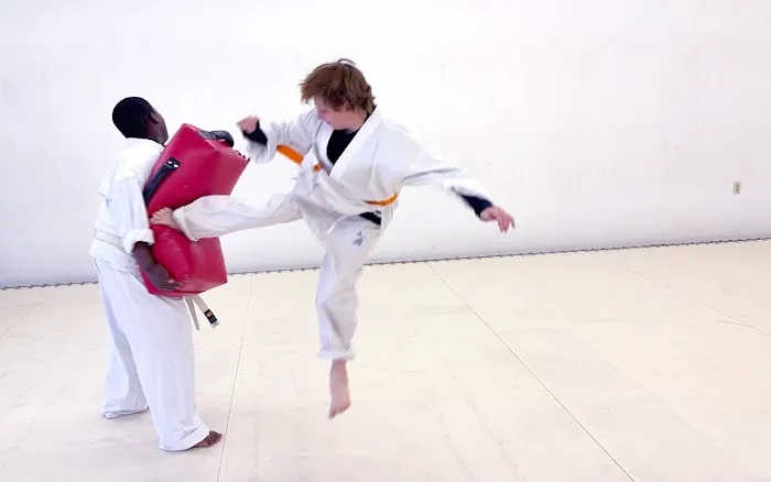 Phoenix Karate Hioki Dojo – Martial Arts Center Kyokushin and USA Oyama Karate Picture 5