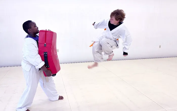 Phoenix Karate Hioki Dojo – Martial Arts Center Kyokushin and USA Oyama Karate Picture 2