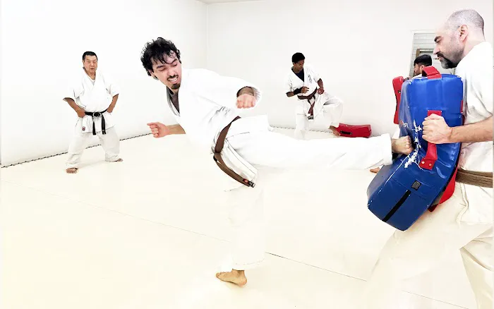 Phoenix Karate Hioki Dojo – Martial Arts Center Kyokushin and USA Oyama Karate Picture 7