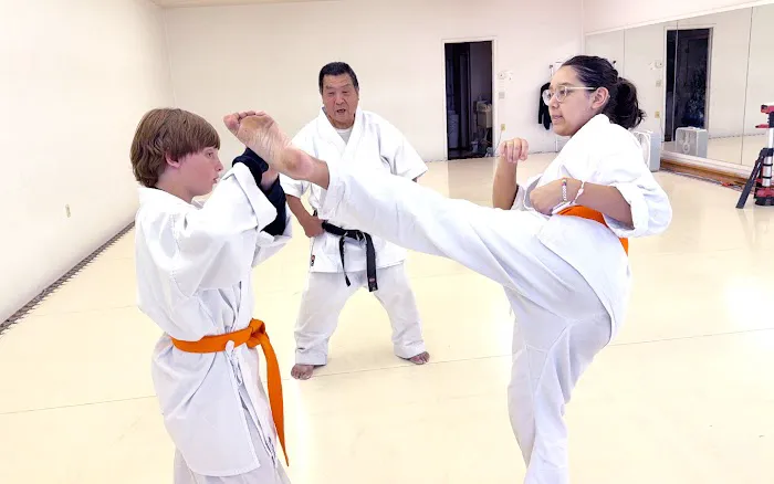 Phoenix Karate Hioki Dojo – Martial Arts Center Kyokushin and USA Oyama Karate Picture 9