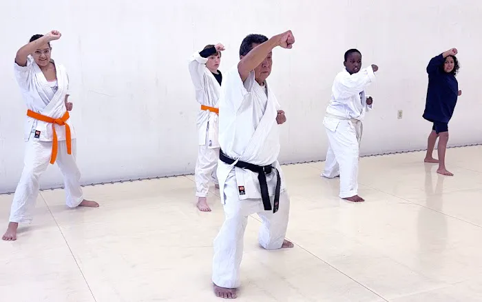 Phoenix Karate Hioki Dojo – Martial Arts Center Kyokushin and USA Oyama Karate Picture 10